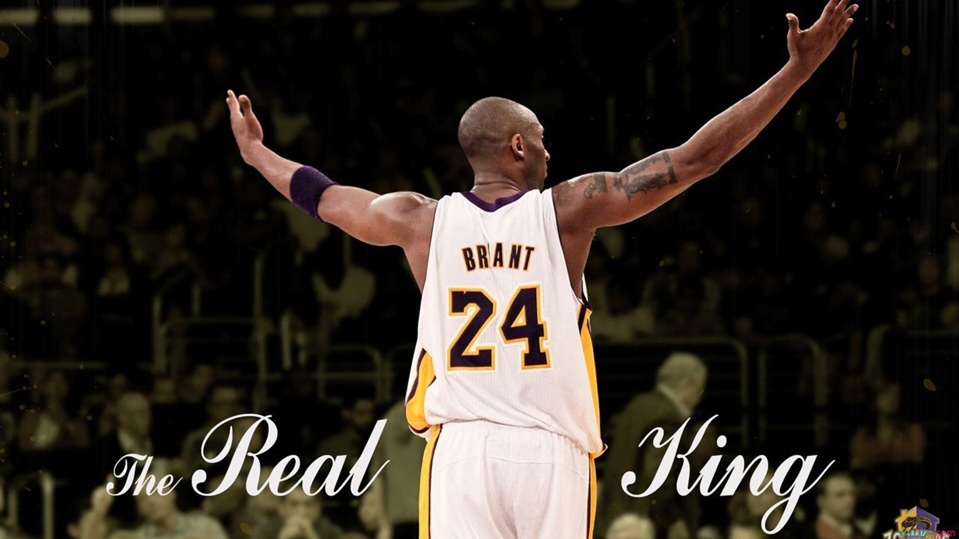 全北现代中场组织节奏流畅，全北现代比赛分析